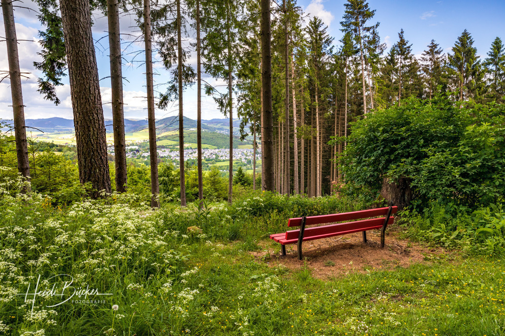 Sitzbank im Wald | Frühlingshafter Blick durch die Fichten am Beerenberg auf die Stadt Schmallenberg - Realisiert mit Pictrs.com
