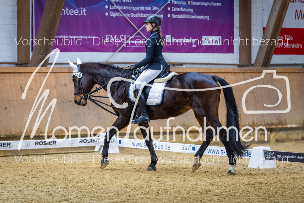 _M2A1565 | MomenTaufnahmen Pferdesportfotos