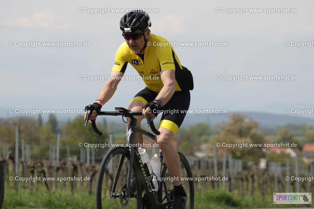 368A4473 | Neusiedlersee Radmarathon 2026@sportshot_your_pictrs #yourpictures#roadtowm2029 #nrm #neusiedlerseeradmarathon #neusiedlersee #neusiedlerseetourismus #burgenland #mörbisch #nrm26 #burgenlandtourismus #voglundco #poweredbyburgenlandtourismus #radsport #rad #marathon #ucigranfondo #visitburgenland #ucigranfondoworldseries