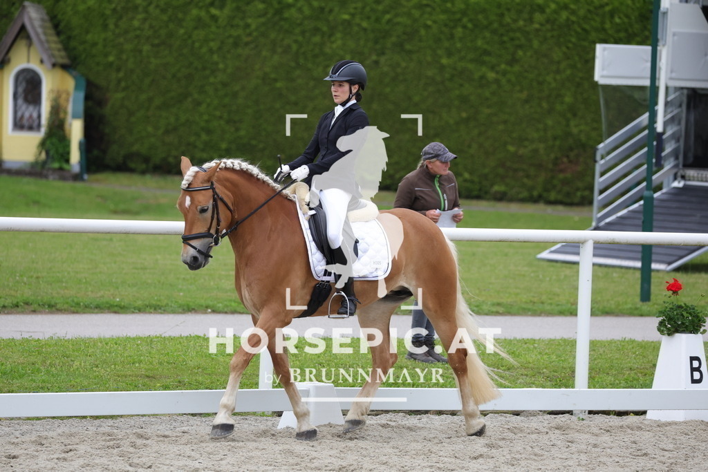 0P6A7073 | Willkommen bei Brunnmayr - Design & Fotografie – Ihrem Spezialisten für Reitturniere und Pferdeveranstaltungen in Oberösterreich, Salzburg und Bayern! Seit über 17 Jahren sind wir leidenschaftlich dabei.