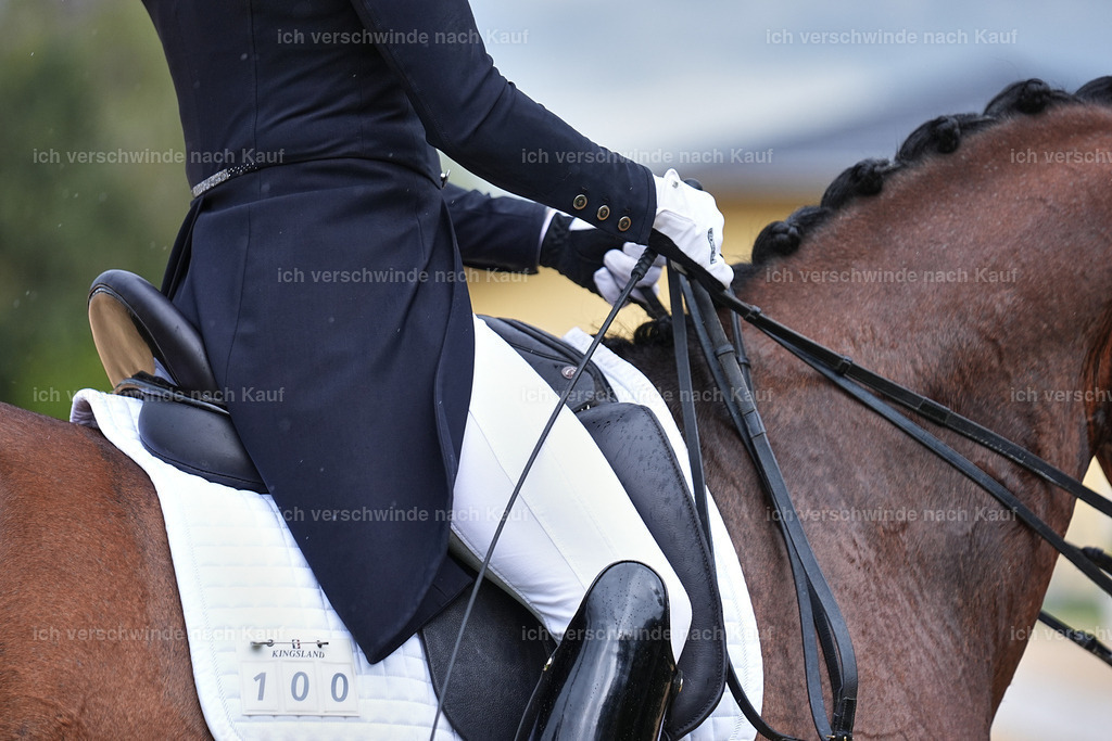 8_1-100-Klasse S_  -Marixx-4194 | working equitationturnier fotograf videograf stoibphotography marixx film working equitation deutschland reitsport turnierfotografie eventfotografie equestrian events