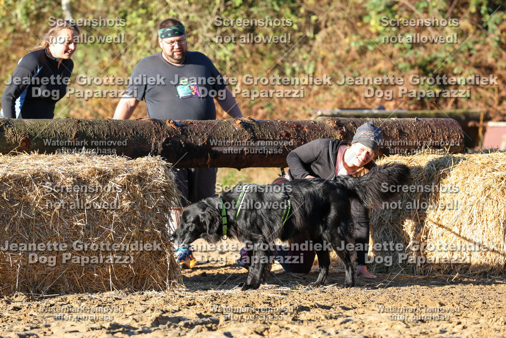 Dog Paparazzi - Strongdog 10-25-1164 | Dog Paparazzi Jeanette Grottendiek Fotografie & Videografie - Realisiert mit Pictrs.com