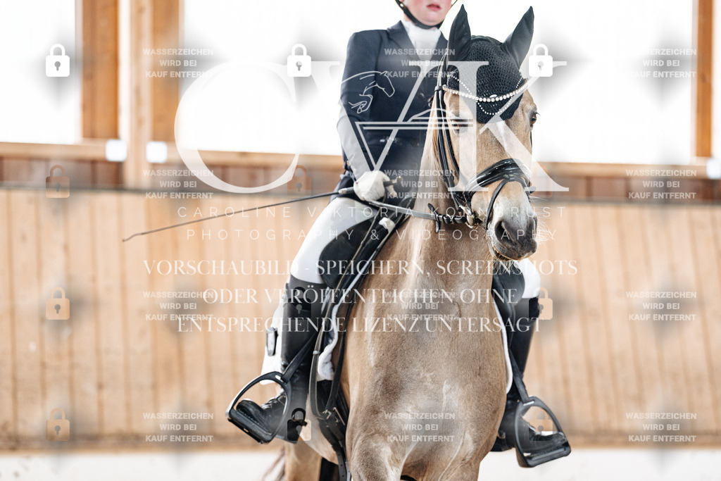 CK900306 | Turnierfotografie Pferdefotografie Trier Rheinland-Pfalz Pferdesport Reitsport Tierfotografie Sportfotografie Pferdevideo Pferdevideografie Equestrianvideography equestrianphotography  - Realized with Pictrs.com
