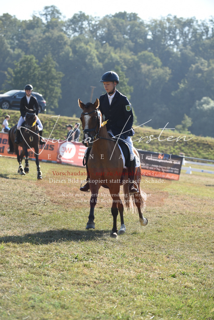 DSC_5495 | Pferde- und Turnierfotografie in Westsachsen. Pferdeportraits, Auftragszeichnungen und intuitive Kunst.