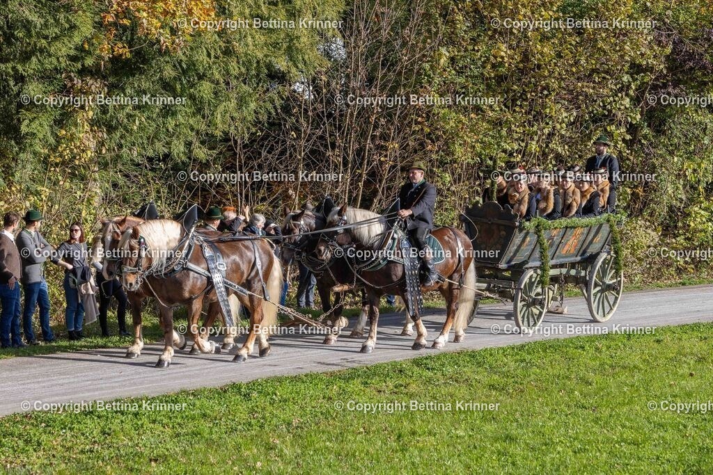 LBT24-322 | foto-bettina-krinner - Realisiert mit Pictrs.com