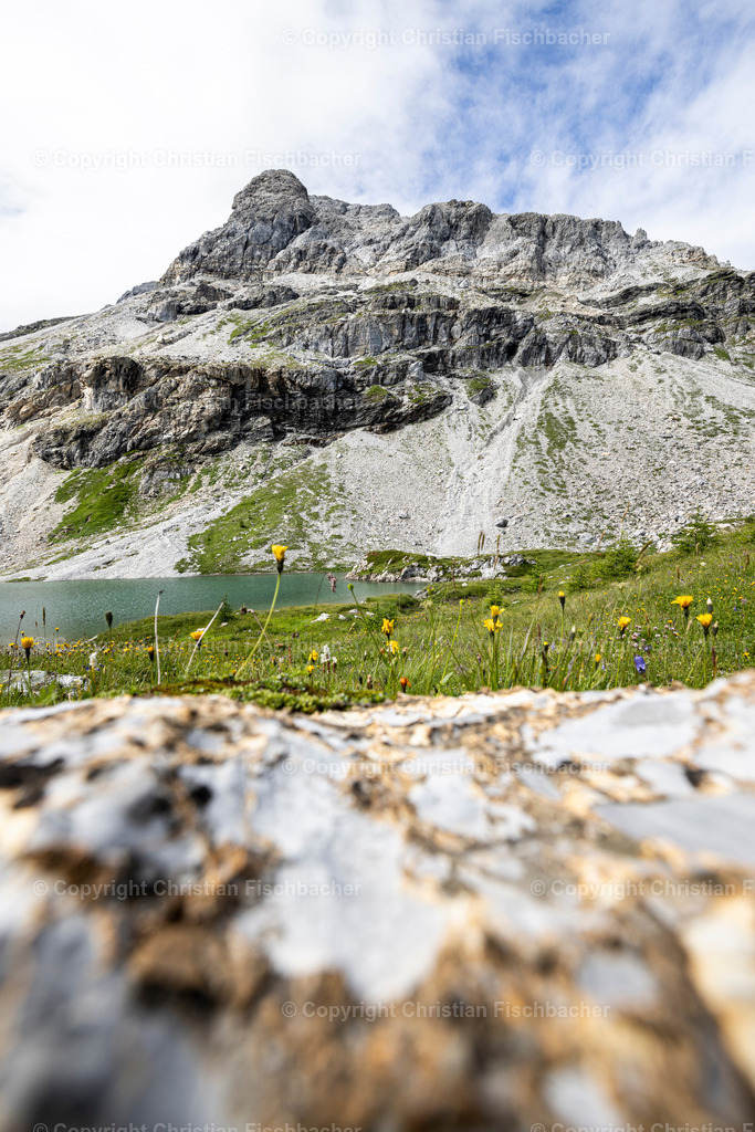 Fotos_Copyright_Chri_Fischbacher_Druck-463 | Bildershop Chri Fischbacher - Realisiert mit Pictrs.com