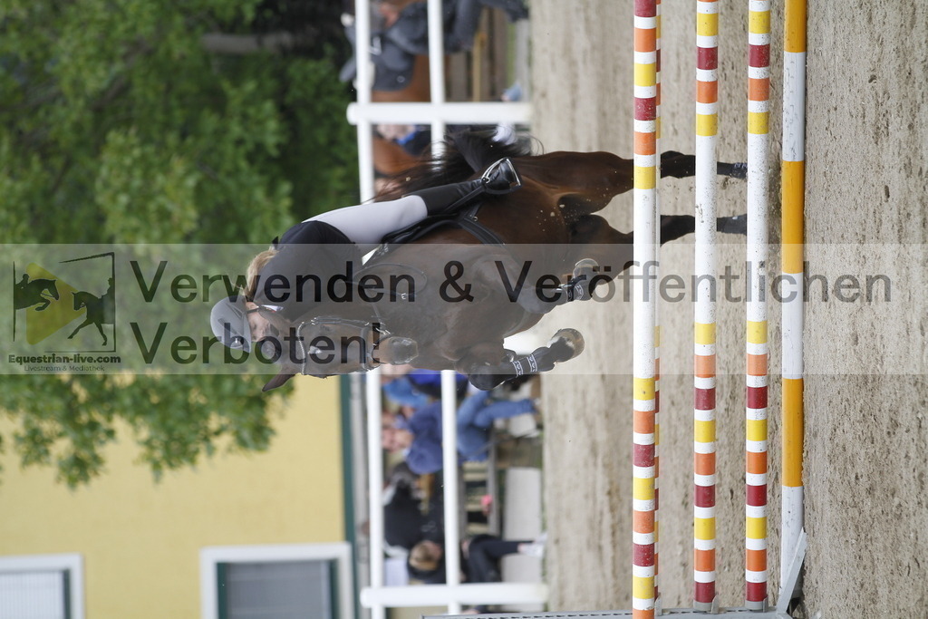 _MG_1147 | equestrian-live-com