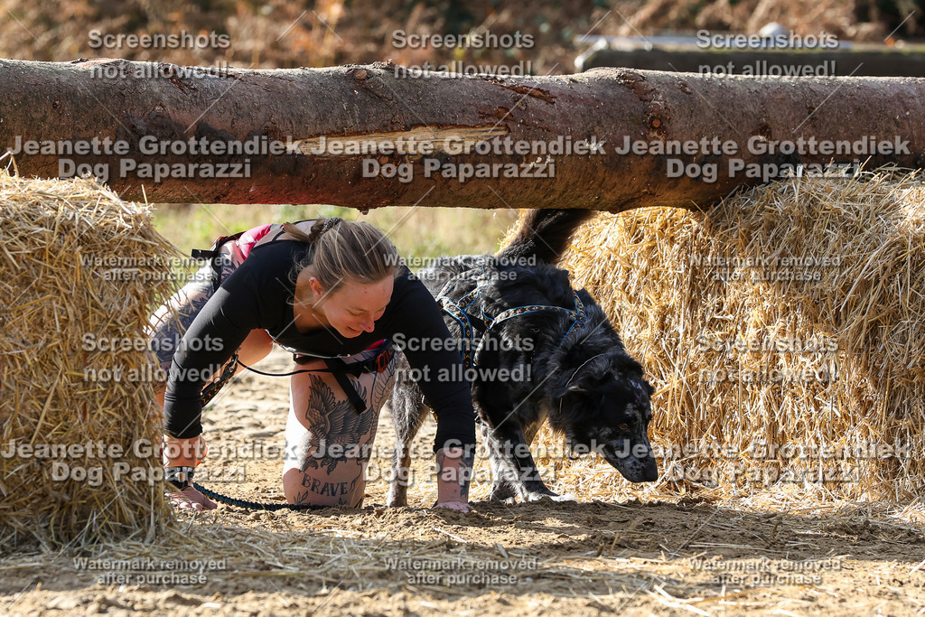 Dog Paparazzi - Strongdog 10-25-5945 | Dog Paparazzi Jeanette Grottendiek Fotografie & Videografie - Realisiert mit Pictrs.com