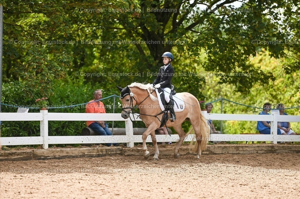 20230716_10-2_Reiter-WB Schritt - Trab - Galopp_0181 | equistock