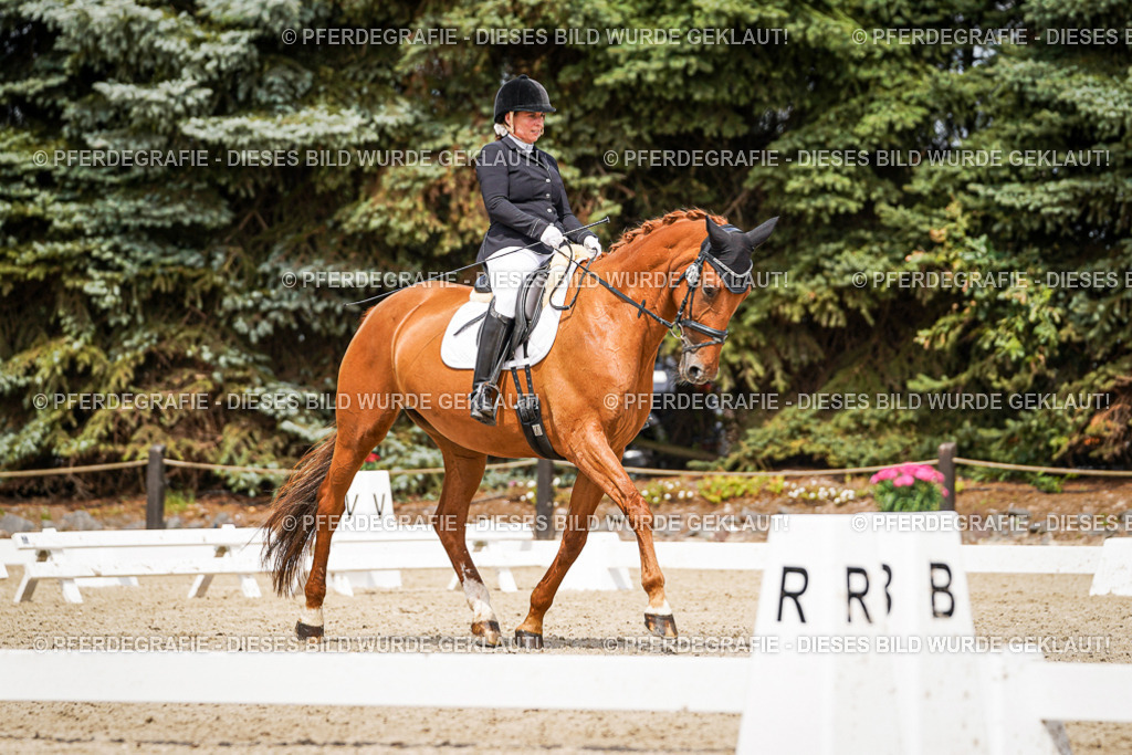 DSC04014 | Pferdegrafie