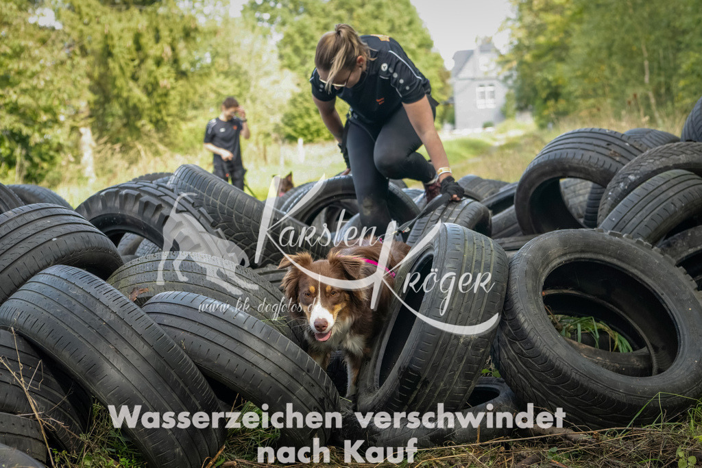 1505_ZZ91087-Bearbeitet | kk-dogfotos