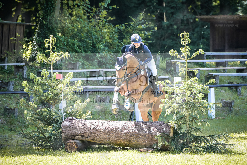 DOS_0305 | Entdecke hochwertige Reitturnierfotos von Foto Oger. Professionell, emotional und authentisch – jetzt Lieblingsmomente im Shop bestellen. - Realisiert mit Pictrs.com