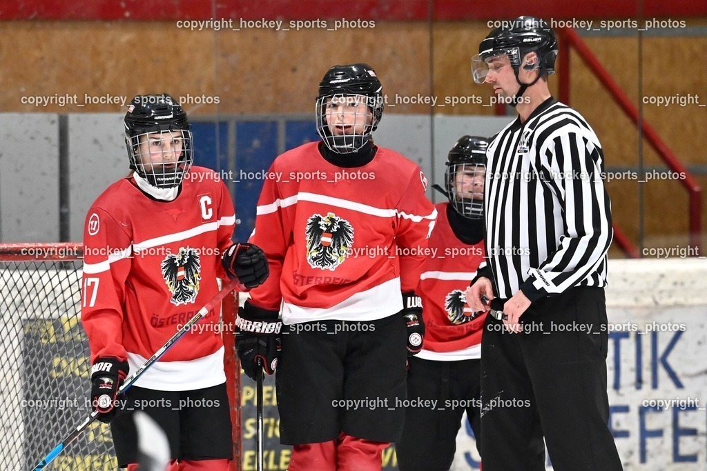 BST_3539 | hockey sports photos, Pressefotos, Sportfotos, hockey247, win 2day icehockeyleague, Handball Austria, Floorball Austria, ÖVV, Kärntner Eishockeyverband, KEHV, KFV, Kärntner Fussballverband, Österreichischer Volleyballverband, Alps Hockey League, ÖFB, 