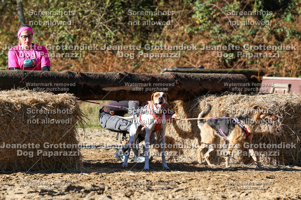 Dog Paparazzi - Strongdog 10-25-1942 | Dog Paparazzi Jeanette Grottendiek Fotografie & Videografie - Realisiert mit Pictrs.com