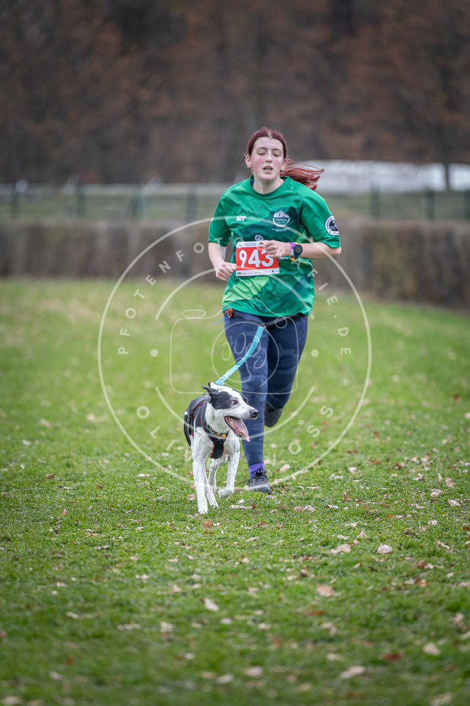 CaniXpix_DV3A7264 | Hundefotografie, Tierfotograf, Pfotenfotografie, Fotoshooting Hund, Hunde Portrait, Hundesport, Hundeportraits, Heideshooting, Hunde, Sportfotograf, Hundefotograf, Turnierhundsport, THS,  - Realisiert mit Pictrs.com