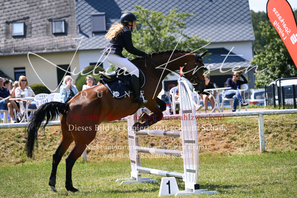 DSC_0384 | Pferde- und Turnierfotografie in Westsachsen. Pferdeportraits, Auftragszeichnungen und intuitive Kunst.