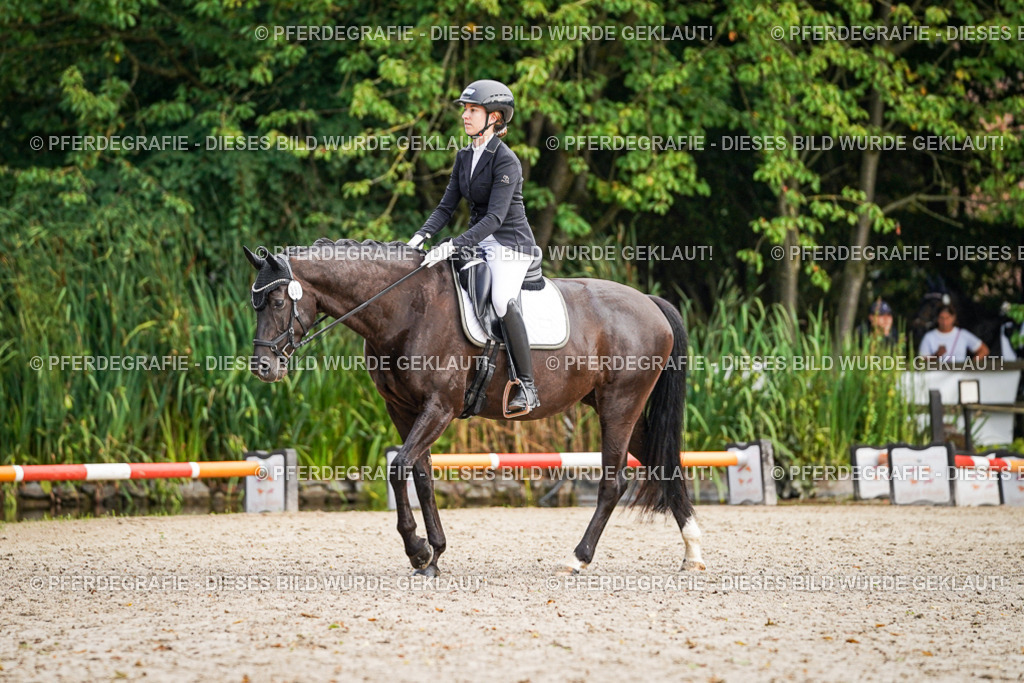 DSC00568 | Pferdegrafie