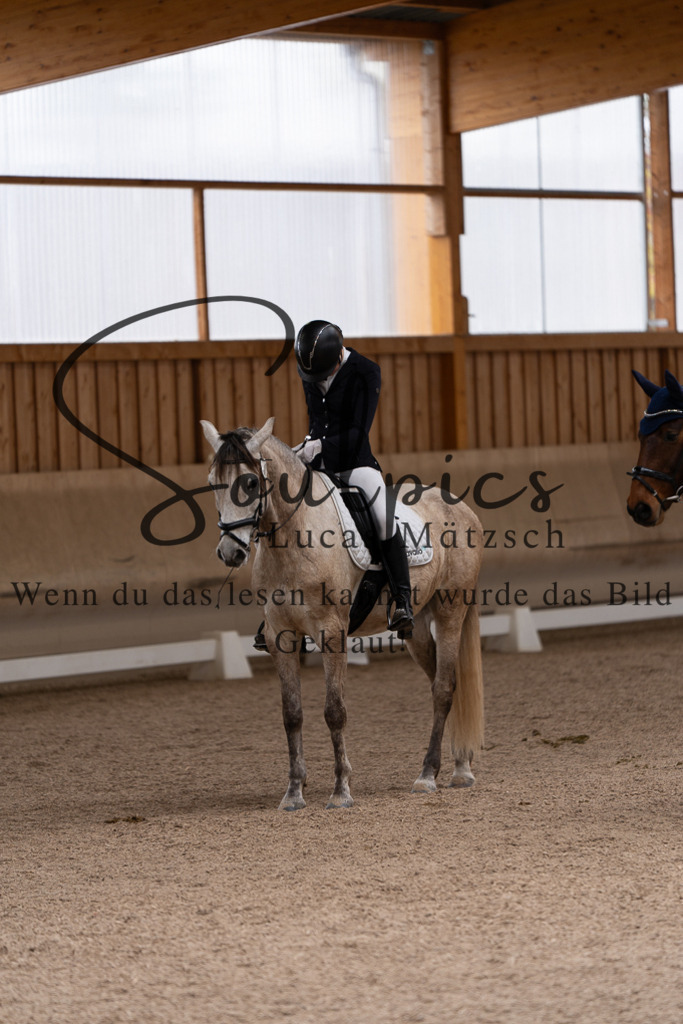 A7507174 | Pferdefotograf