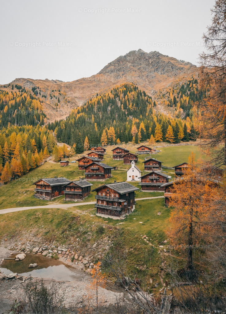 Oberstalleralm_Herbst_2023-598 | piet_flosse
