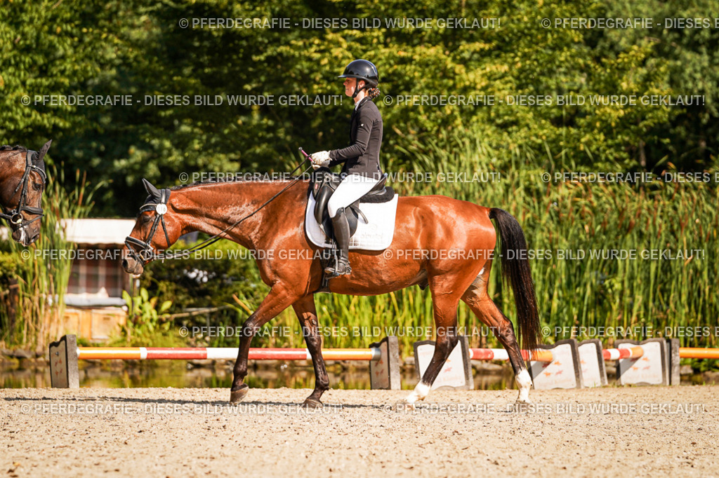 DSC00674 | Pferdegrafie