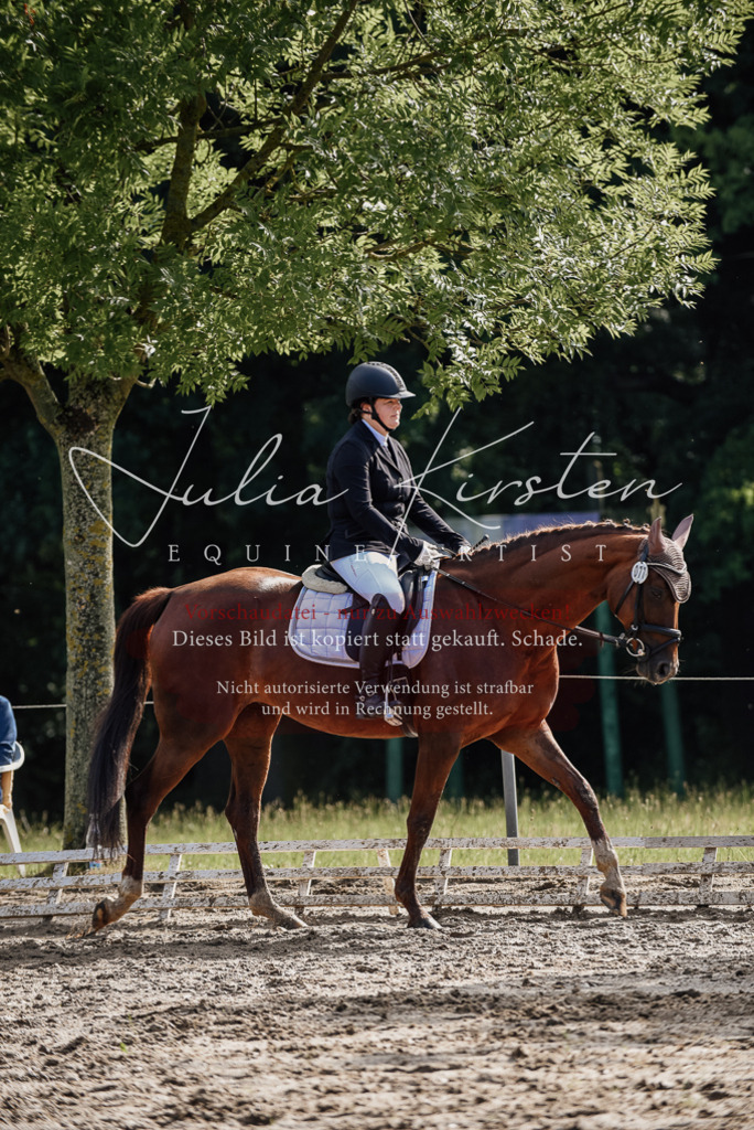 DSC_9205 | Pferde- und Turnierfotografie in Westsachsen. Pferdeportraits, Auftragszeichnungen und intuitive Kunst.