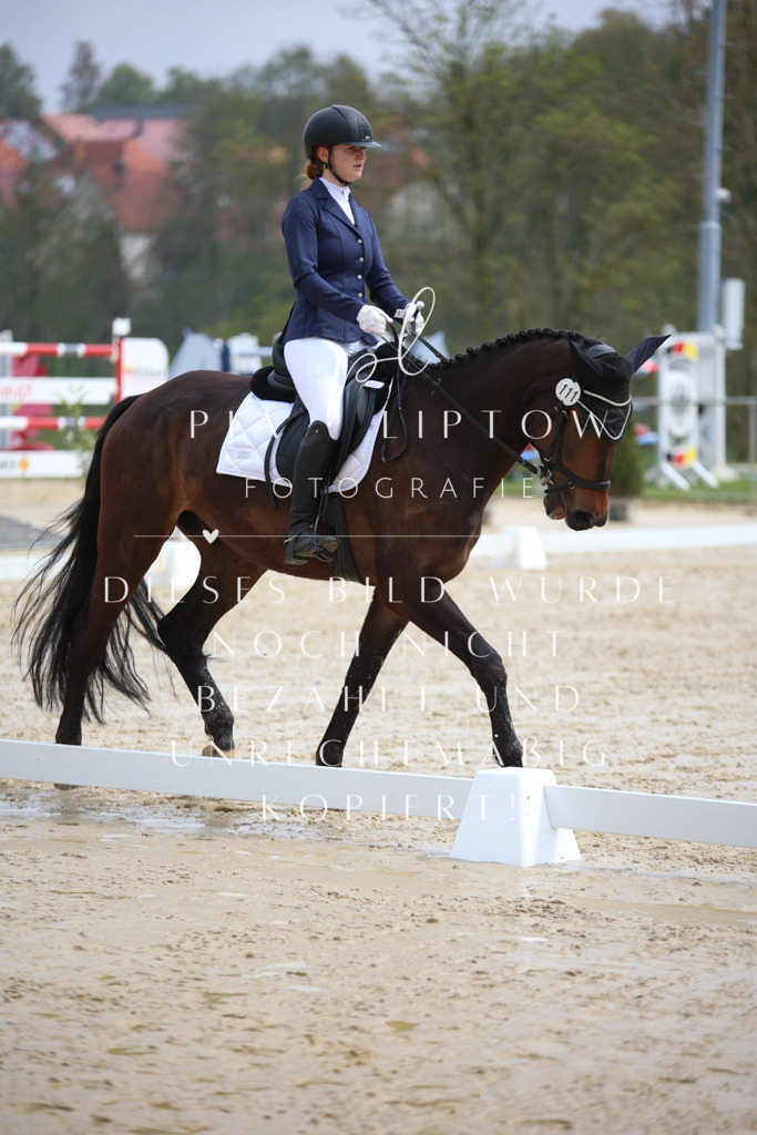 IMGT3094 | pl-fotografie