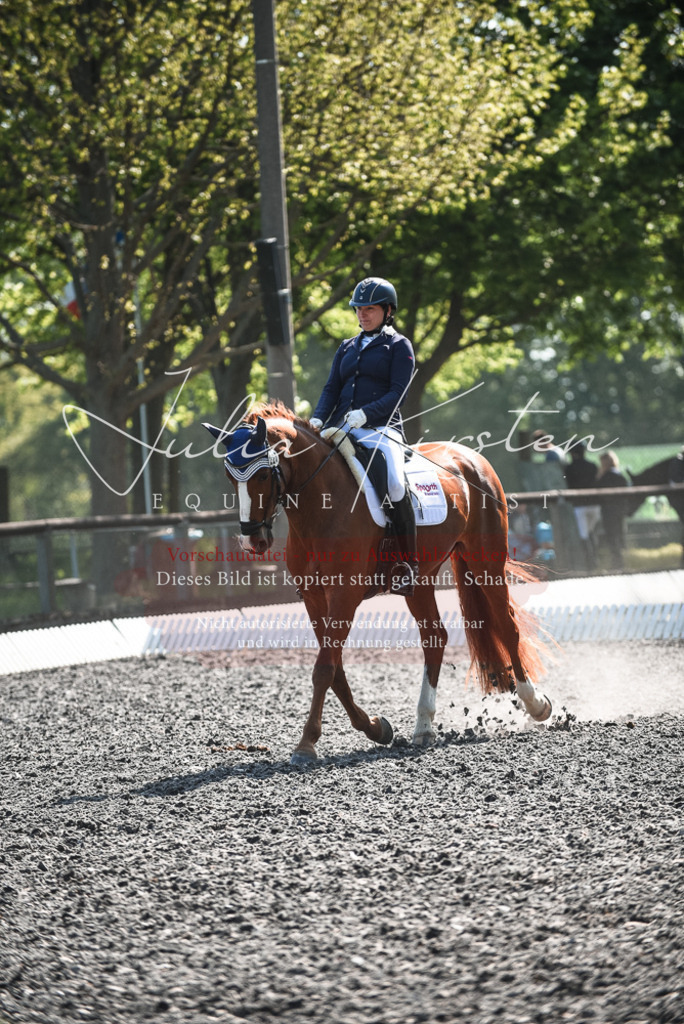 DSC_8835 | Pferde- und Turnierfotografie in Westsachsen. Pferdeportraits, Auftragszeichnungen und intuitive Kunst.