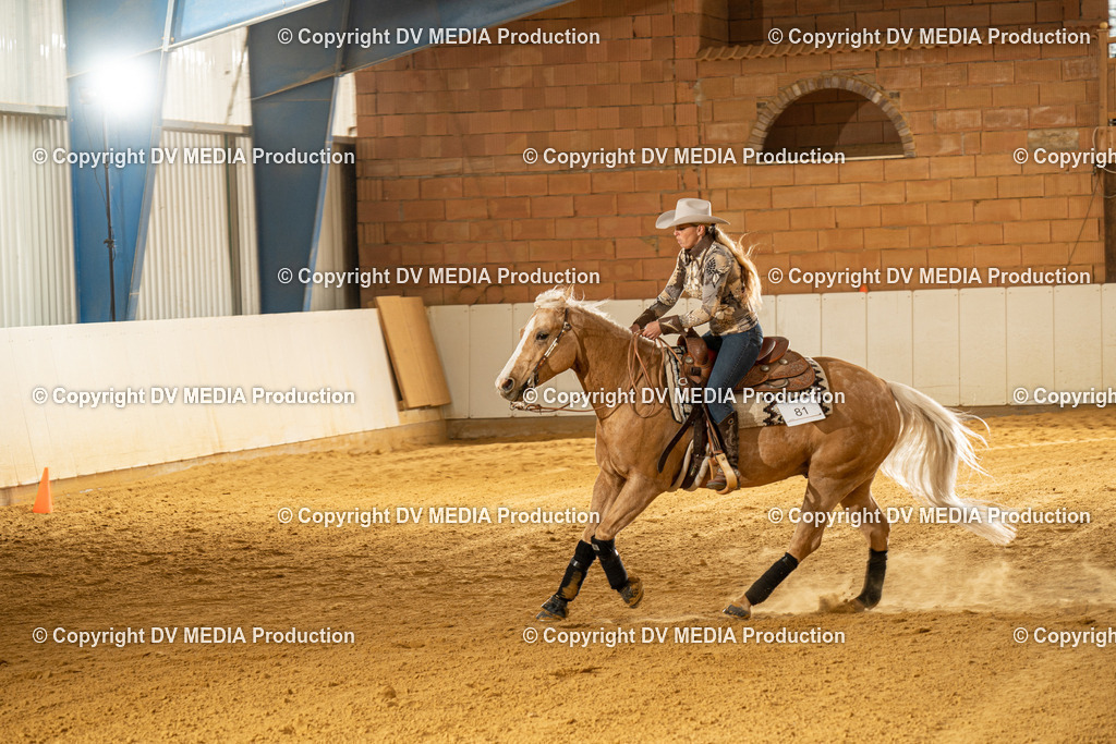 MIT00465 | dv-media-shop - Realisiert mit Pictrs.com