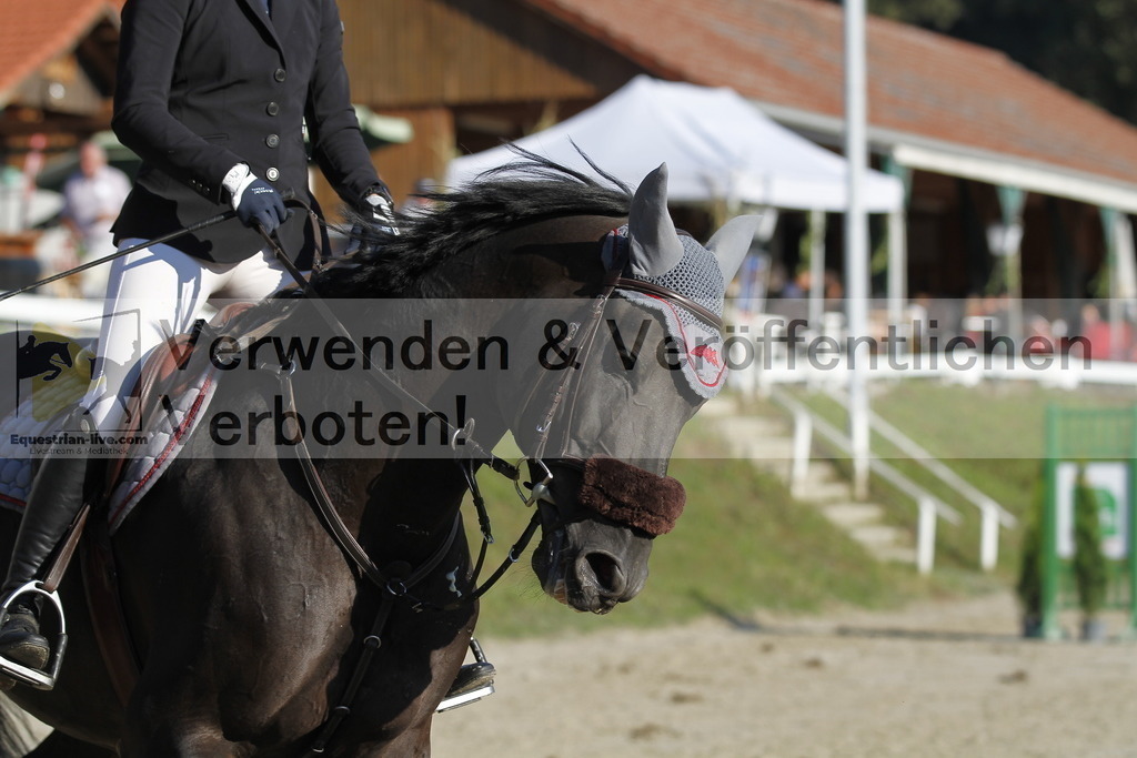 _MG_7361 | equestrian-live-com