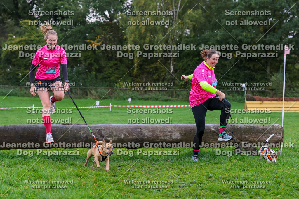 Dog Paparazzi -  SD1026-1996 | Dog Paparazzi Jeanette Grottendiek Fotografie & Videografie - Realisiert mit Pictrs.com