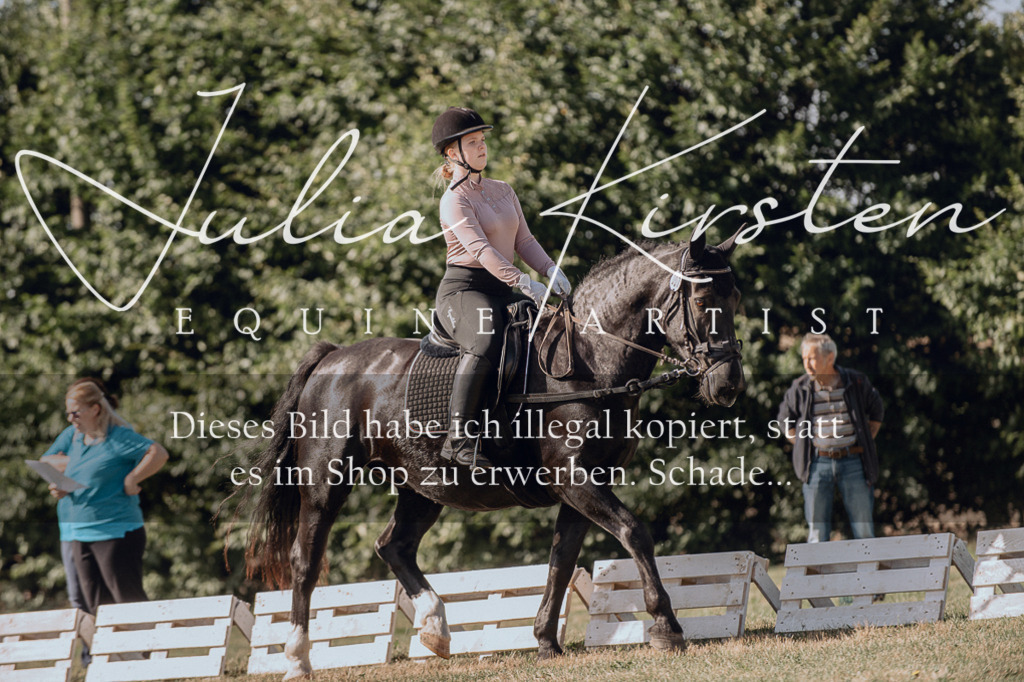 DSC_7035 | Pferde- und Turnierfotografie in Westsachsen. Pferdeportraits, Auftragszeichnungen und intuitive Kunst.