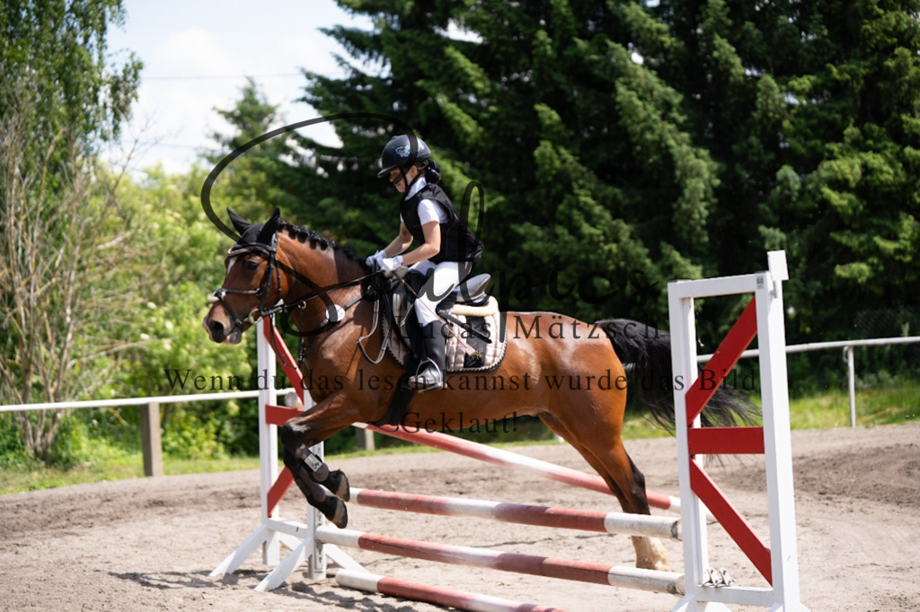 A7V03075 | Pferdefotograf