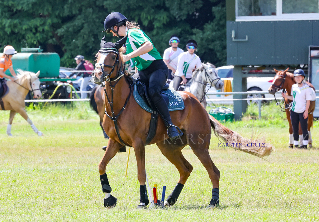 IMG_1589 | Reitsport Reiten