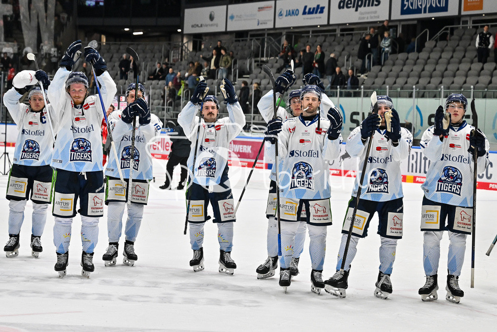 Augsburger Panther - Straubing Tigers | Augsburg, DEUTSCHLAND - 14. NOVEMBER: die Spieler der Tigers bedanken sich bei den mitgereisten Fans nach dem Auswärtssieg in Augsburg nach dem Ligaspiel zwischen den Augsburger Panthern und den Straubing Tigers am 18. Spieltag der Penny DEL im Curt Frenzel Stadion am 14.11.2025 / Feiern