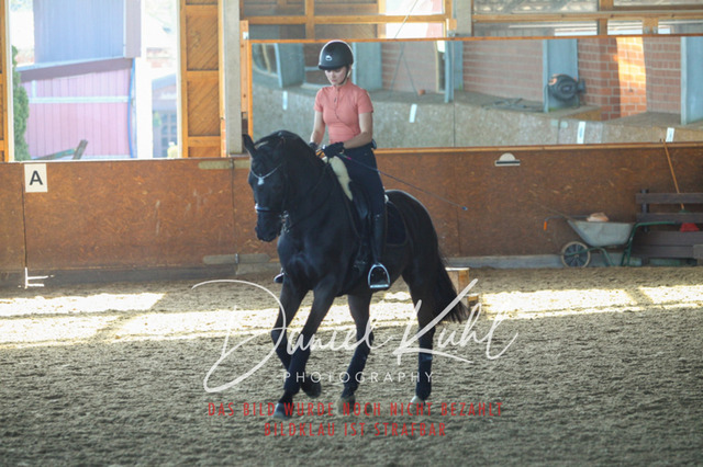 DKP42302 | Turniersportfotografie; Pferdefotografie; Dressurfotografie