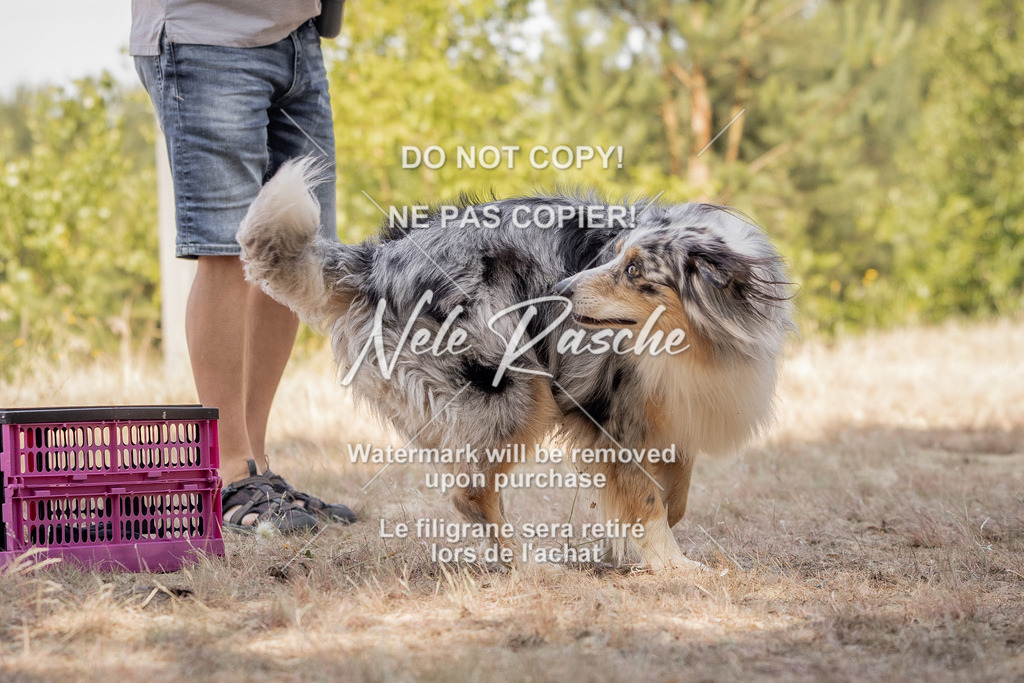 nelerasche_soDD2_77 | nelerasche
