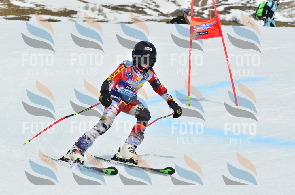 _ELE2860 | holidayphoto