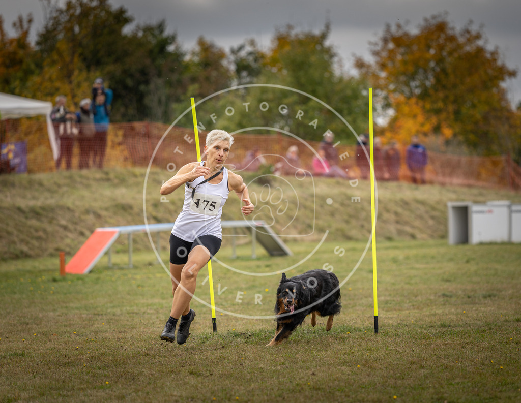 Pfotenfotografie_DV3A5756 | Hundefotografie, Tierfotograf, Pfotenfotografie, Fotoshooting Hund, Hunde Portrait, Hundesport, Hundeportraits, Heideshooting, Hunde, Sportfotograf, Hundefotograf, Turnierhundsport, THS,  - Realisiert mit Pictrs.com