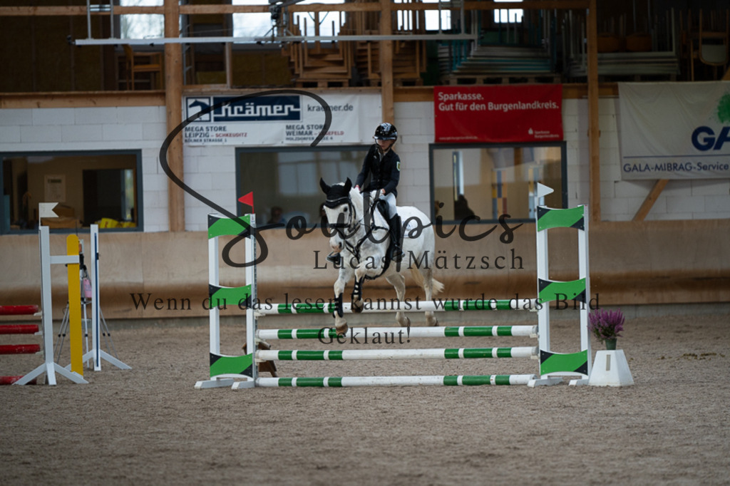 A7V02995 | Pferdefotograf