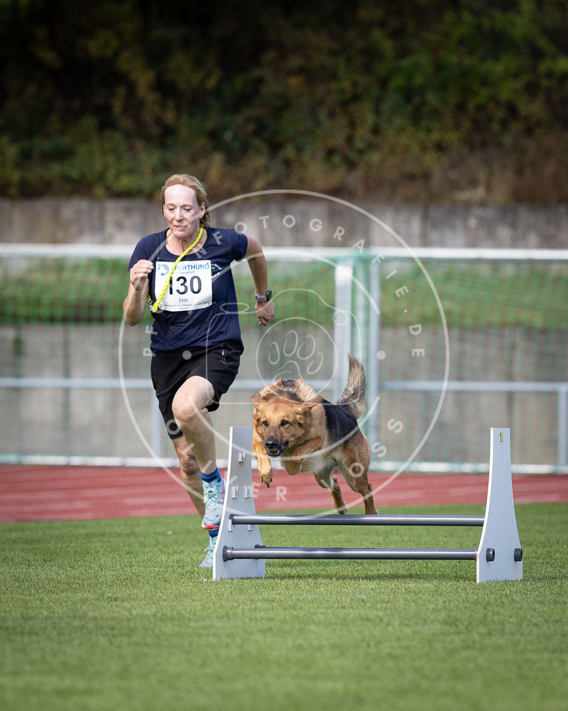Pfotenfotografie_DV3A8752 | Hundefotografie, Tierfotograf, Pfotenfotografie, Fotoshooting Hund, Hunde Portrait, Hundesport, Hundeportraits, Heideshooting, Hunde, Sportfotograf, Hundefotograf, Turnierhundsport, THS,  - Realisiert mit Pictrs.com