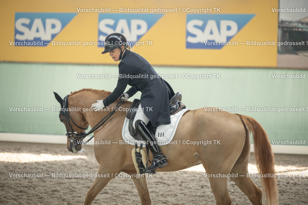 _D5A2405 | Emotionale Pferde- & People-Fotografie rund um Heidelberg, Leimen & Umgebung. Natürliche Fotos von Pferd, Mensch & Familie. Jetzt Termin sichern!