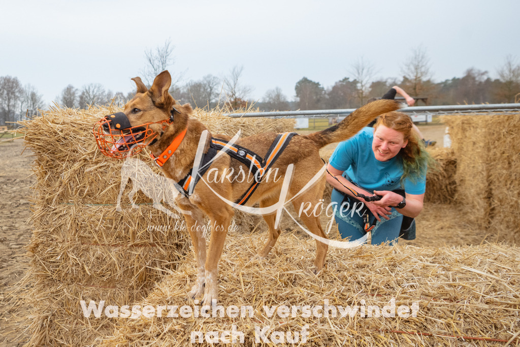 0837_ZZ93717 | kk-dogfotos