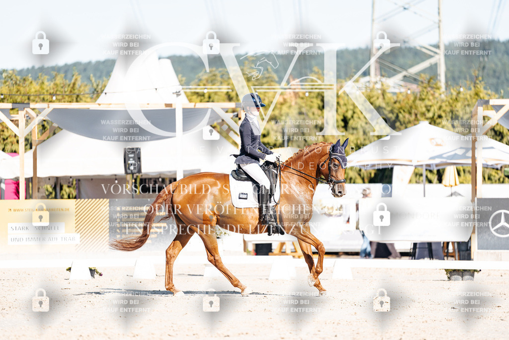 CK907369 | Turnierfotografie Pferdefotografie Trier Rheinland-Pfalz Pferdesport Reitsport Tierfotografie Sportfotografie Pferdevideo Pferdevideografie Equestrianvideography equestrianphotography  - Realisiert mit Pictrs.com