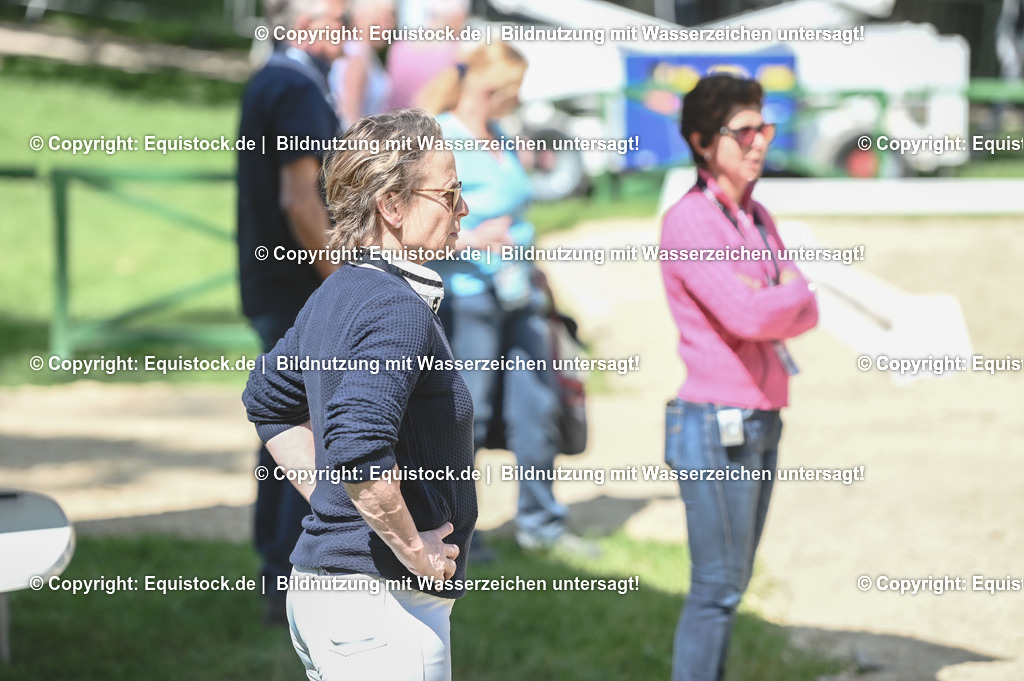 D78_2868 | equistock