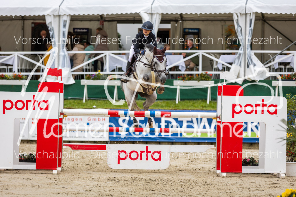 BHO-2PhSpr-M-5-2307 | MomenTaufnahmen Pferdesportfotos