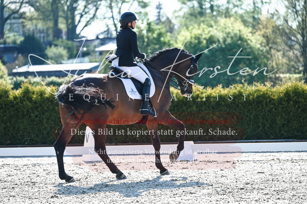 20230514_JK-Röhrsdorf-18-128 | Pferde- und Turnierfotografie in Westsachsen. Pferdeportraits, Auftragszeichnungen und intuitive Kunst.