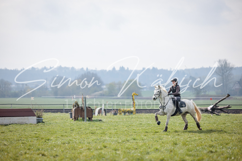 20260329-_3LI3724 | Tierfotografie Pferde, Hunde, Katzen, Haustiere.
Turnierfotografie Reitturniere, Reiten, Springreiten, Dressur in Hanau, dem Main-Kinzig-Kreis und dem Rhein-Main- Gebiet um Frankfurt