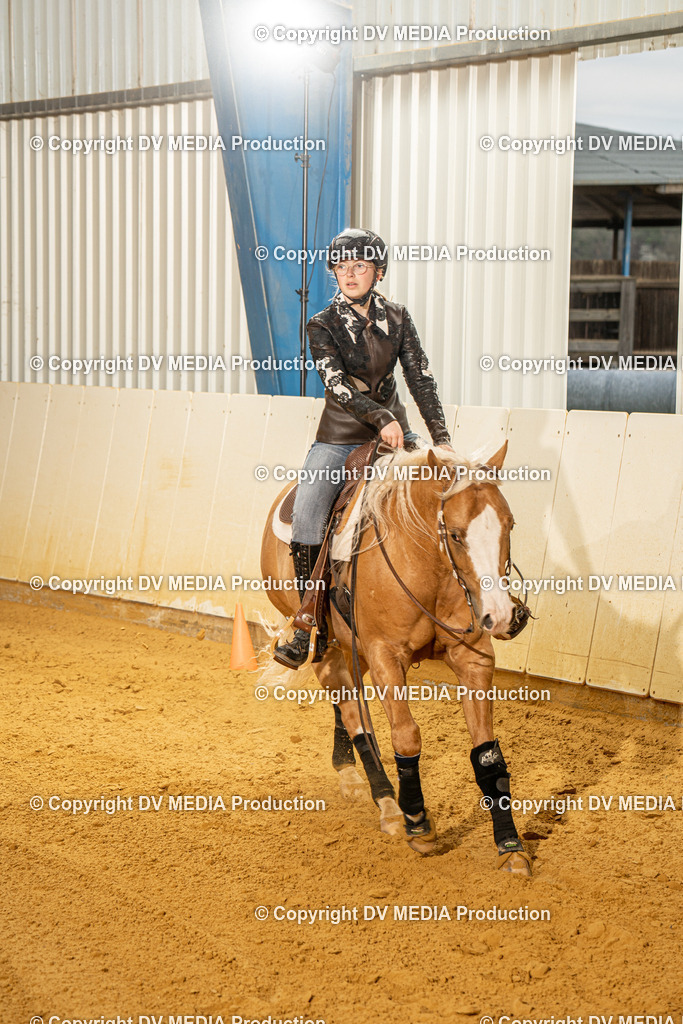 MIT00555 | dv-media-shop - Realisiert mit Pictrs.com