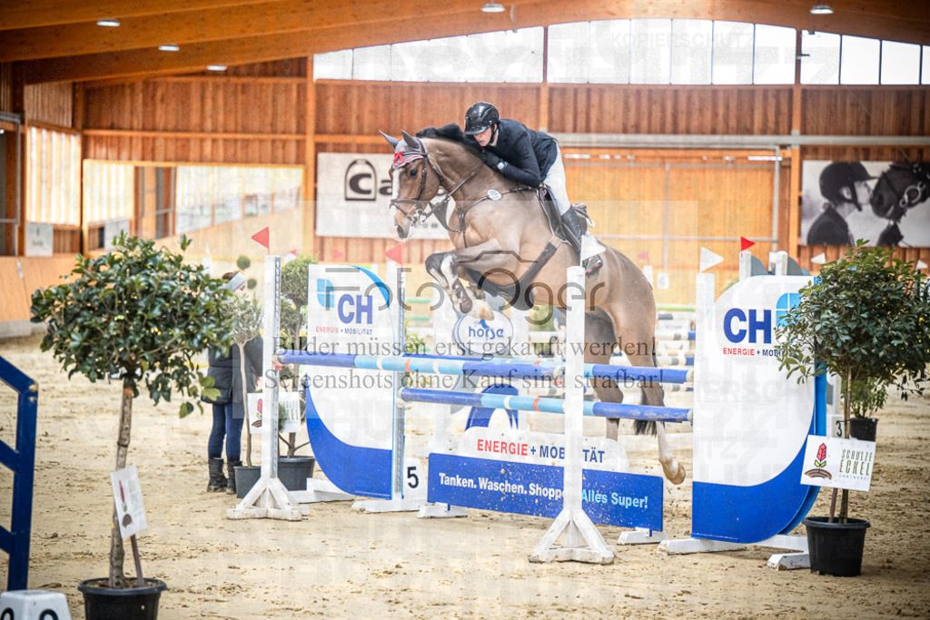 DOS_0364 | Entdecke hochwertige Reitturnierfotos von Foto Oger. Professionell, emotional und authentisch – jetzt Lieblingsmomente im Shop bestellen.Deutschlandweite Turnierfotografie. - Realisiert mit Pictrs.com