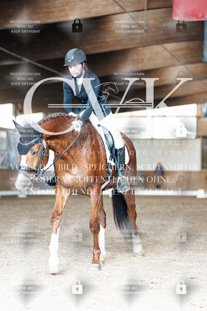 CK901750 | Turnierfotografie Pferdefotografie Trier Rheinland-Pfalz Pferdesport Reitsport Tierfotografie Sportfotografie Pferdevideo Pferdevideografie Equestrianvideography equestrianphotography  - Realisiert mit Pictrs.com